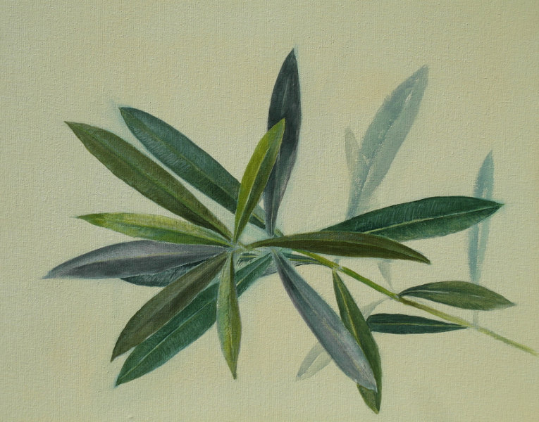 Oleanderzweig,  2014,  Aquarell und &Ouml;lfarben auf Hartfaserplatte, 40 x 50 cm
