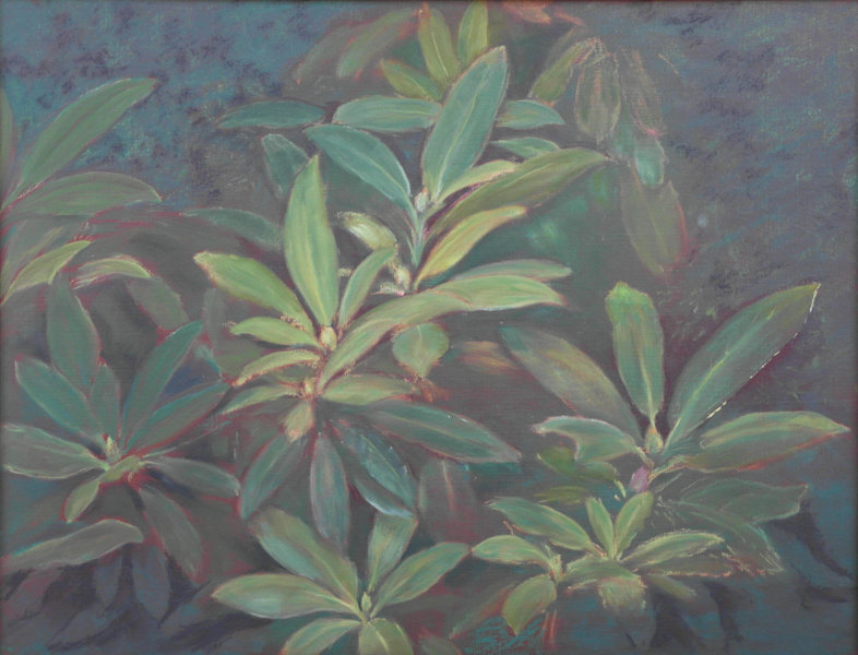 Rhododendron am Nachmittag, 2018, &Ouml;lfarben auf Malplatte, 50 x 65 cm